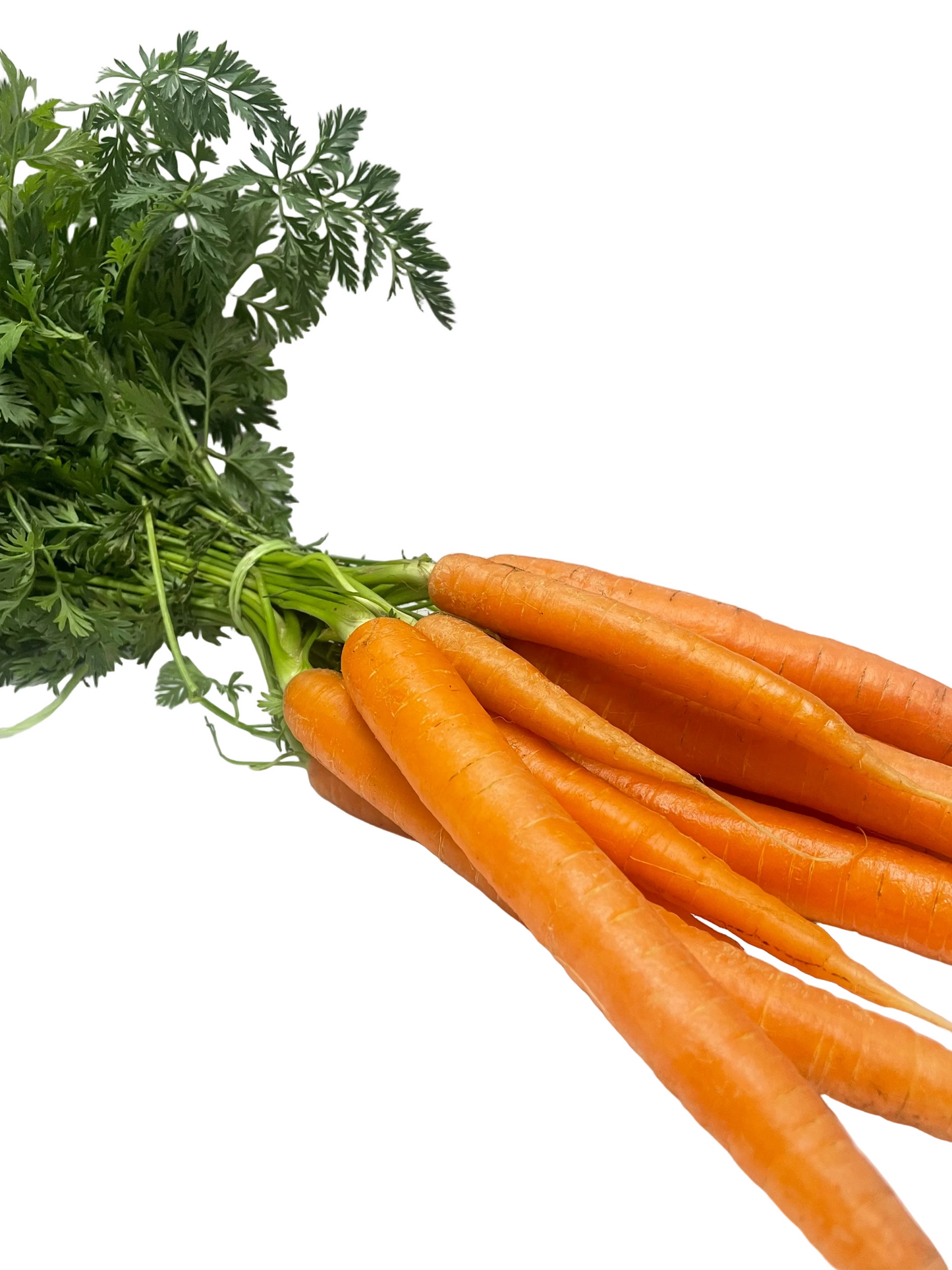 Carrot bunch