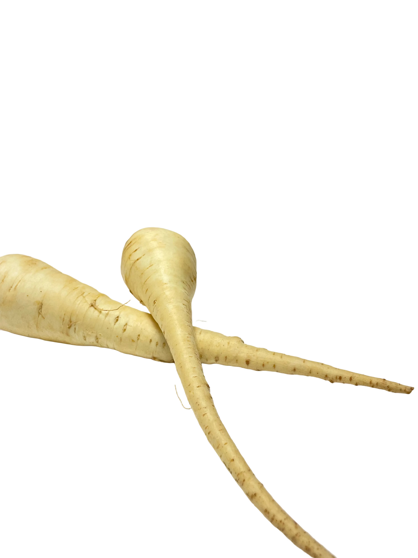 Parsnip
