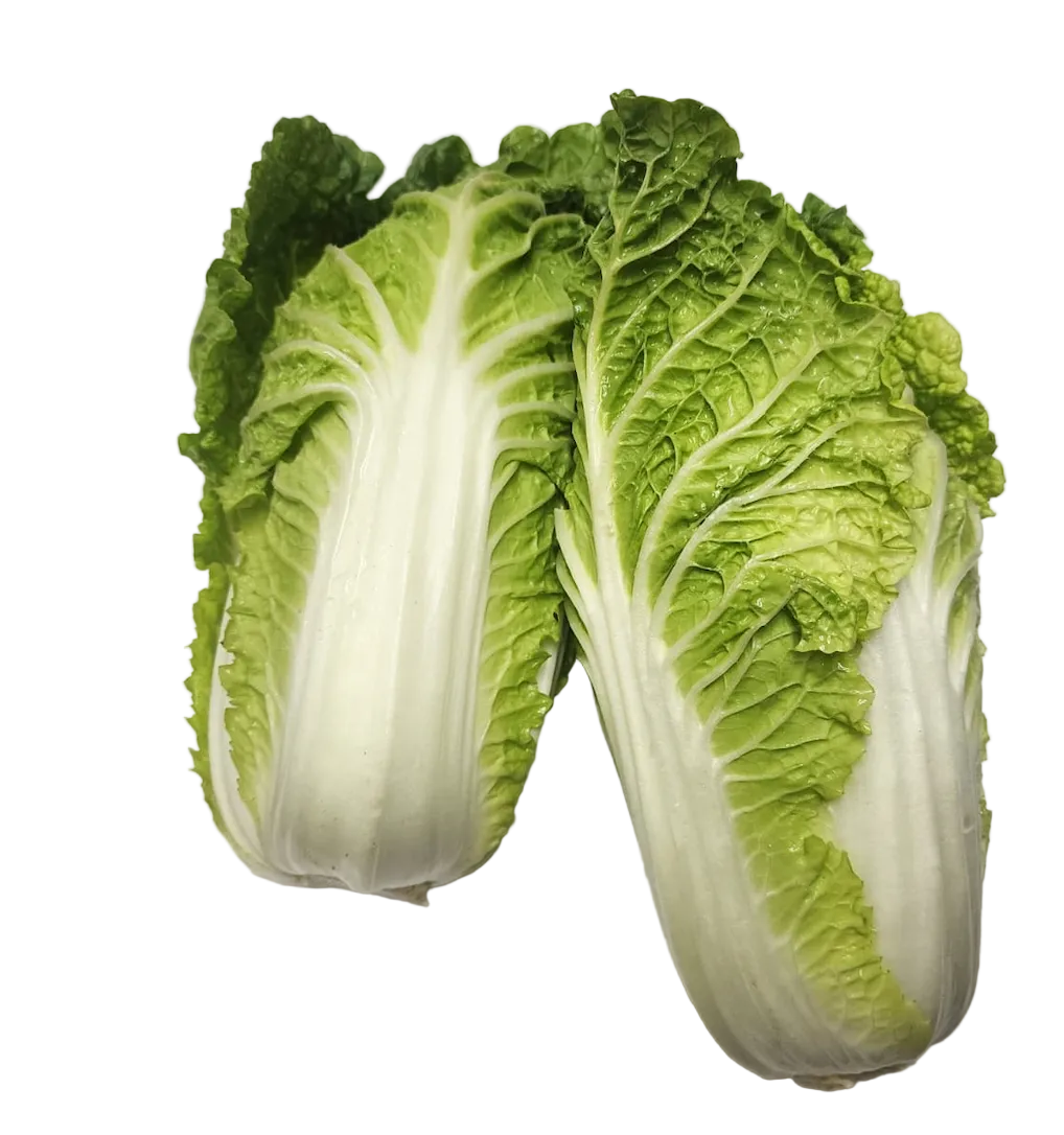 Baby Wombok / Chinese Cabbage