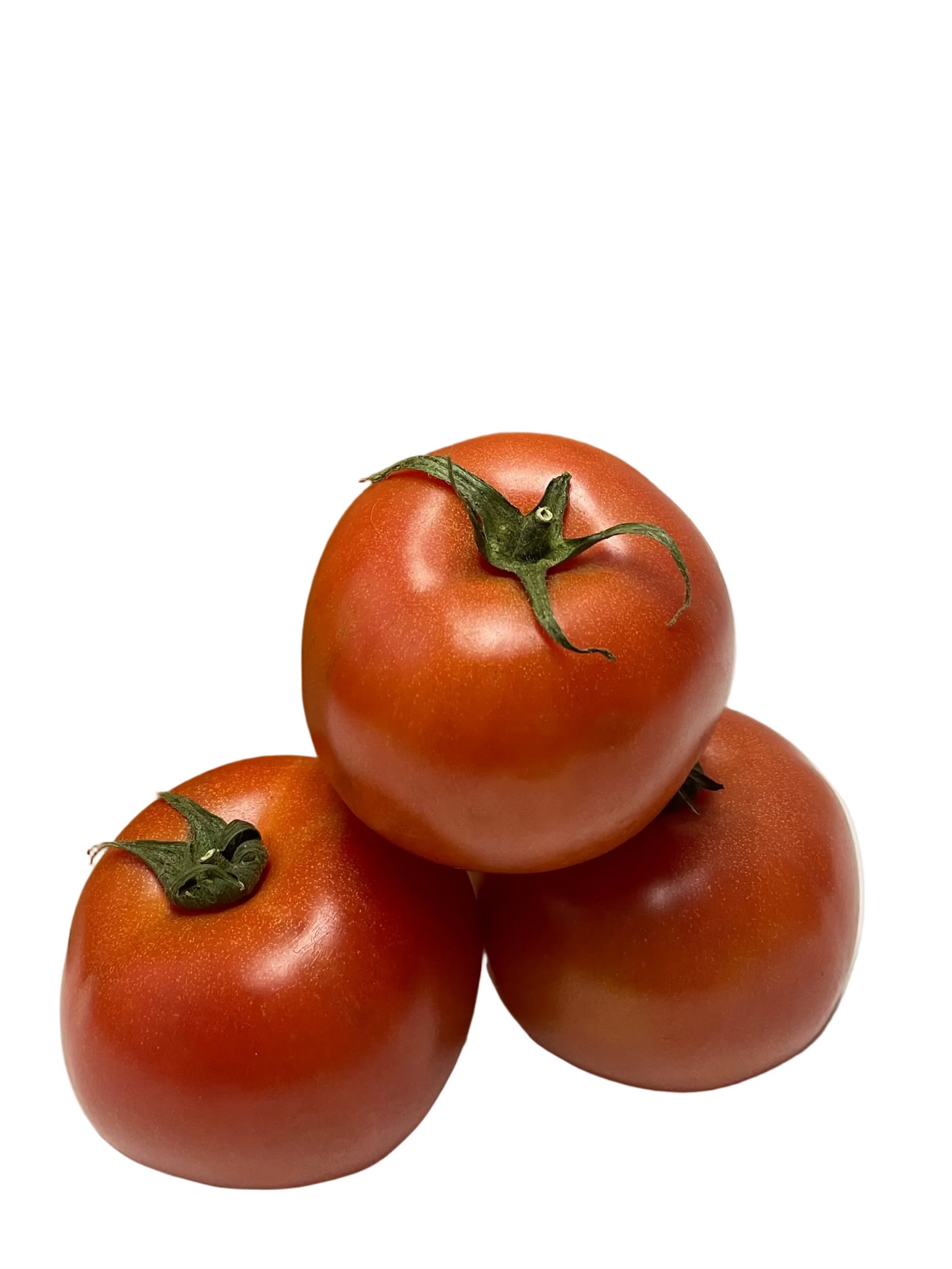 SA Tomatoes (Bag)