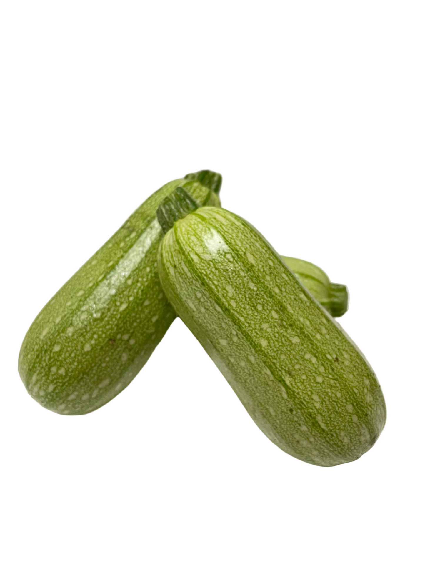 White Zucchini