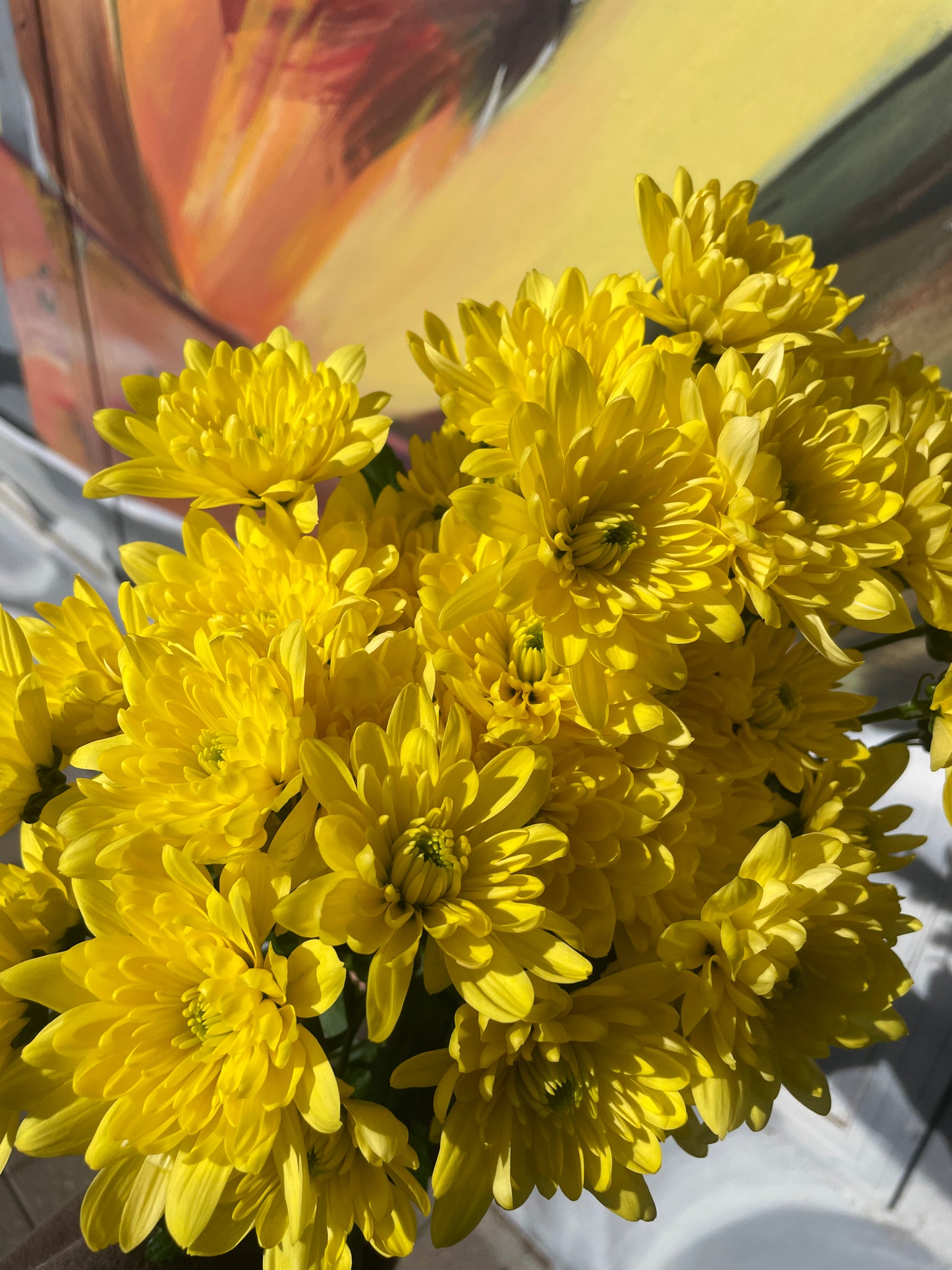 Daisy bunch