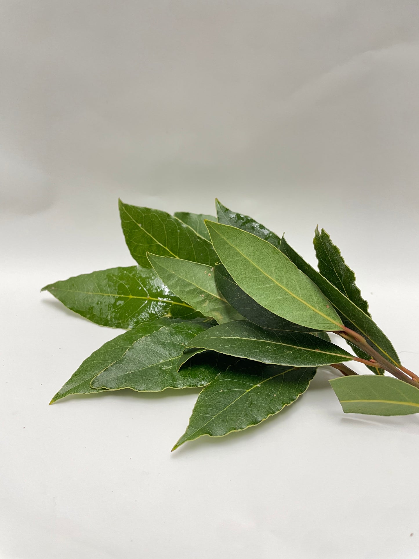 Bay Leaves