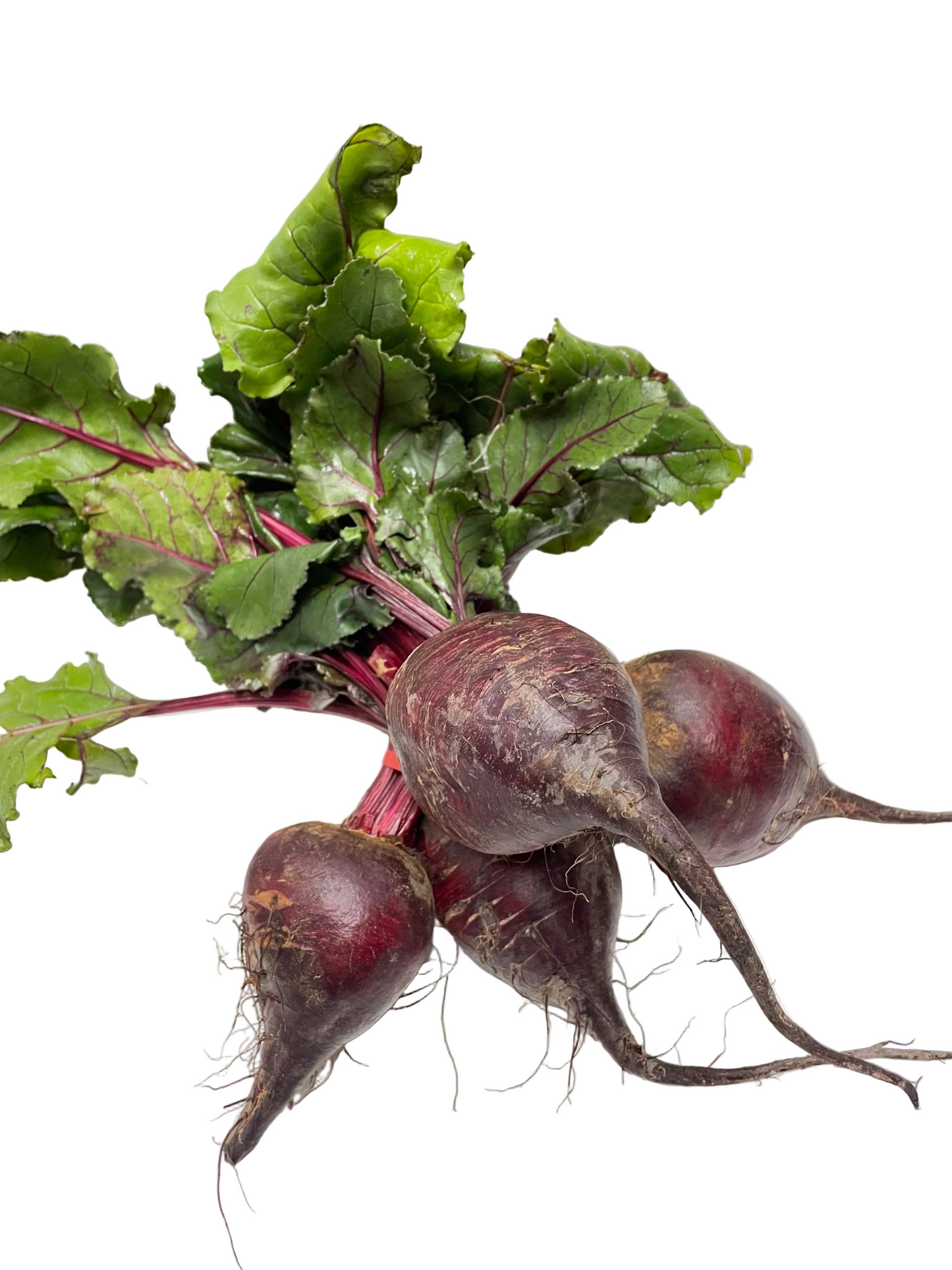 Beetroot bunch