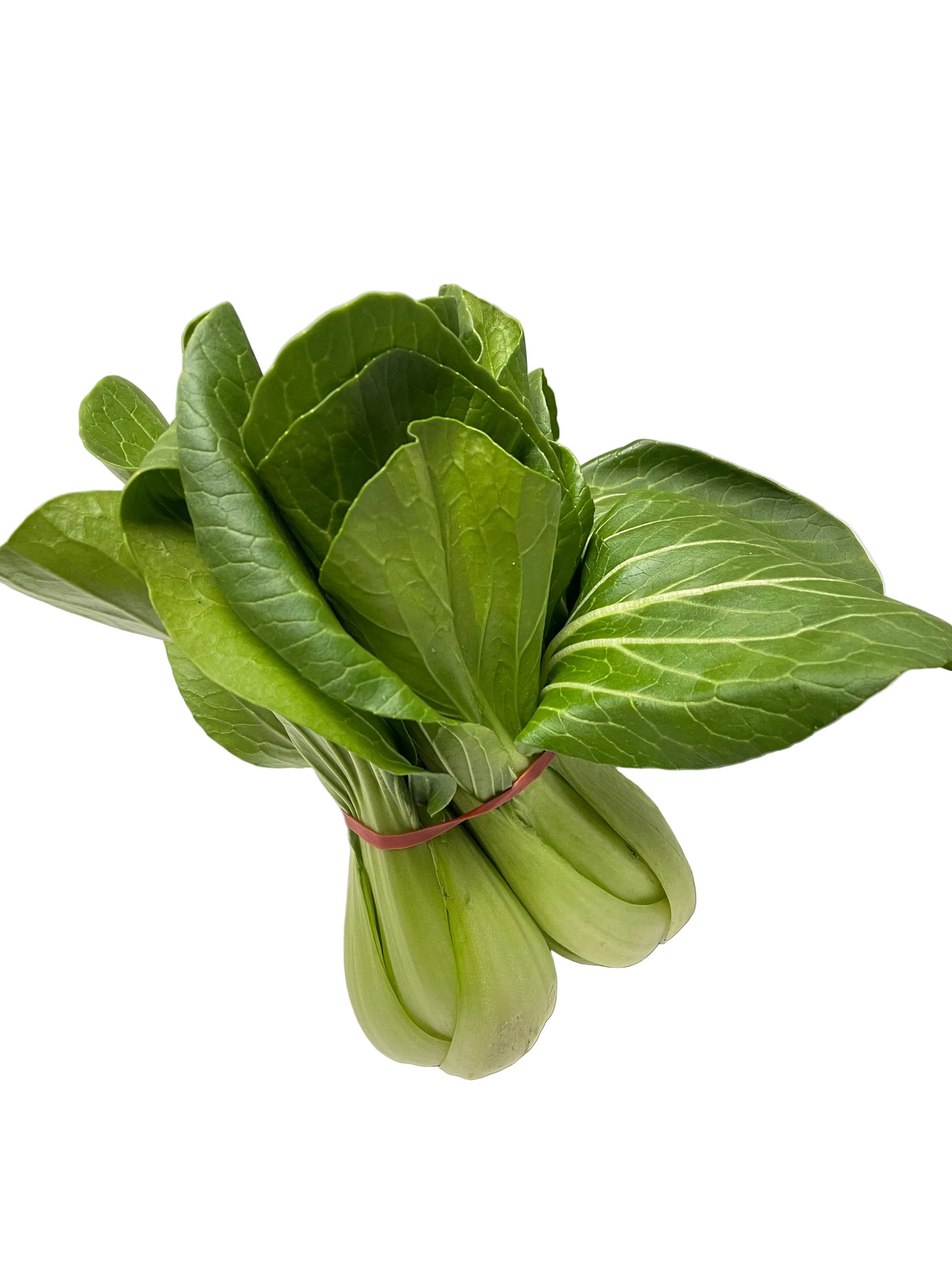 Bok Choy
