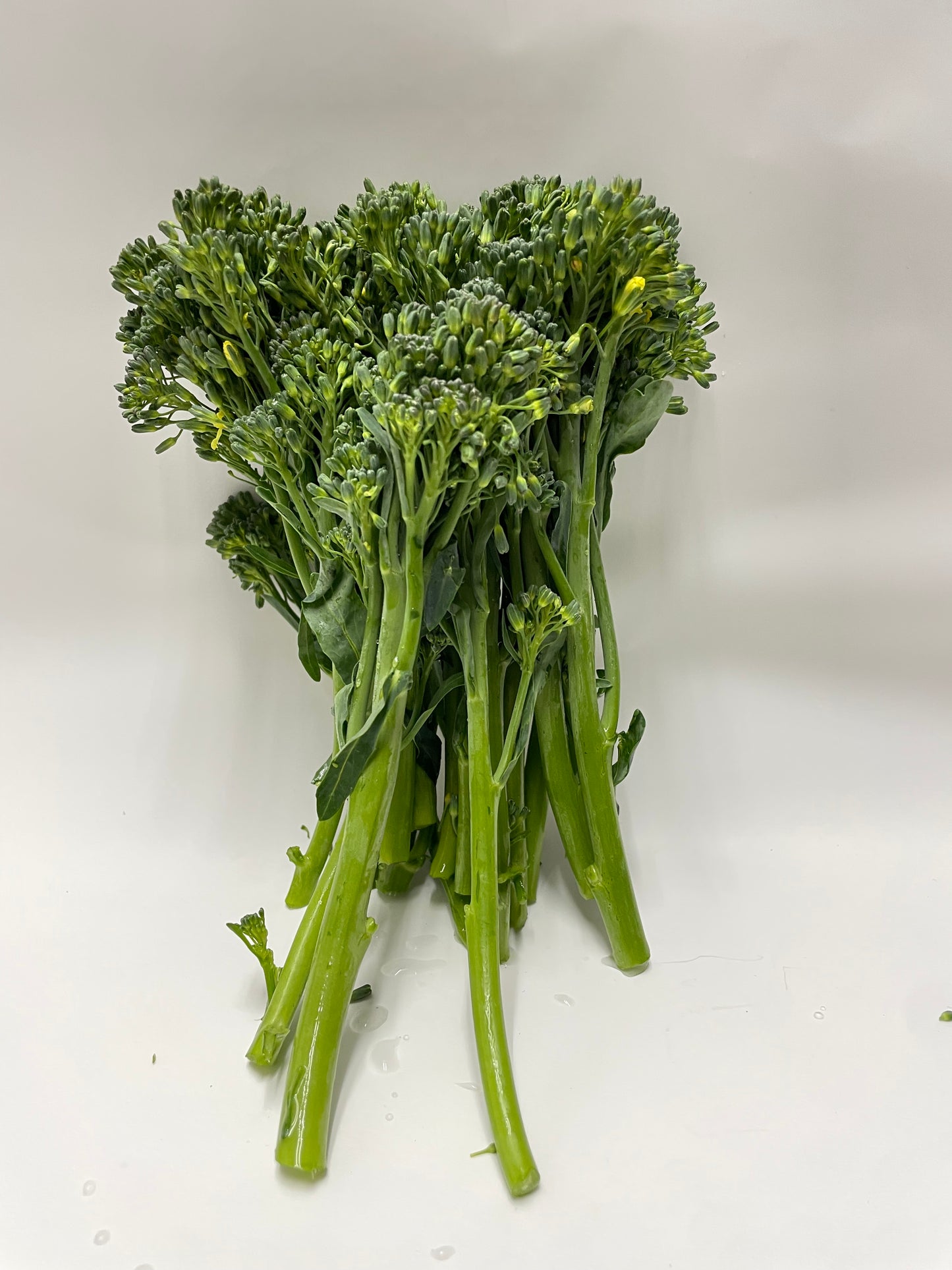 Broccolini