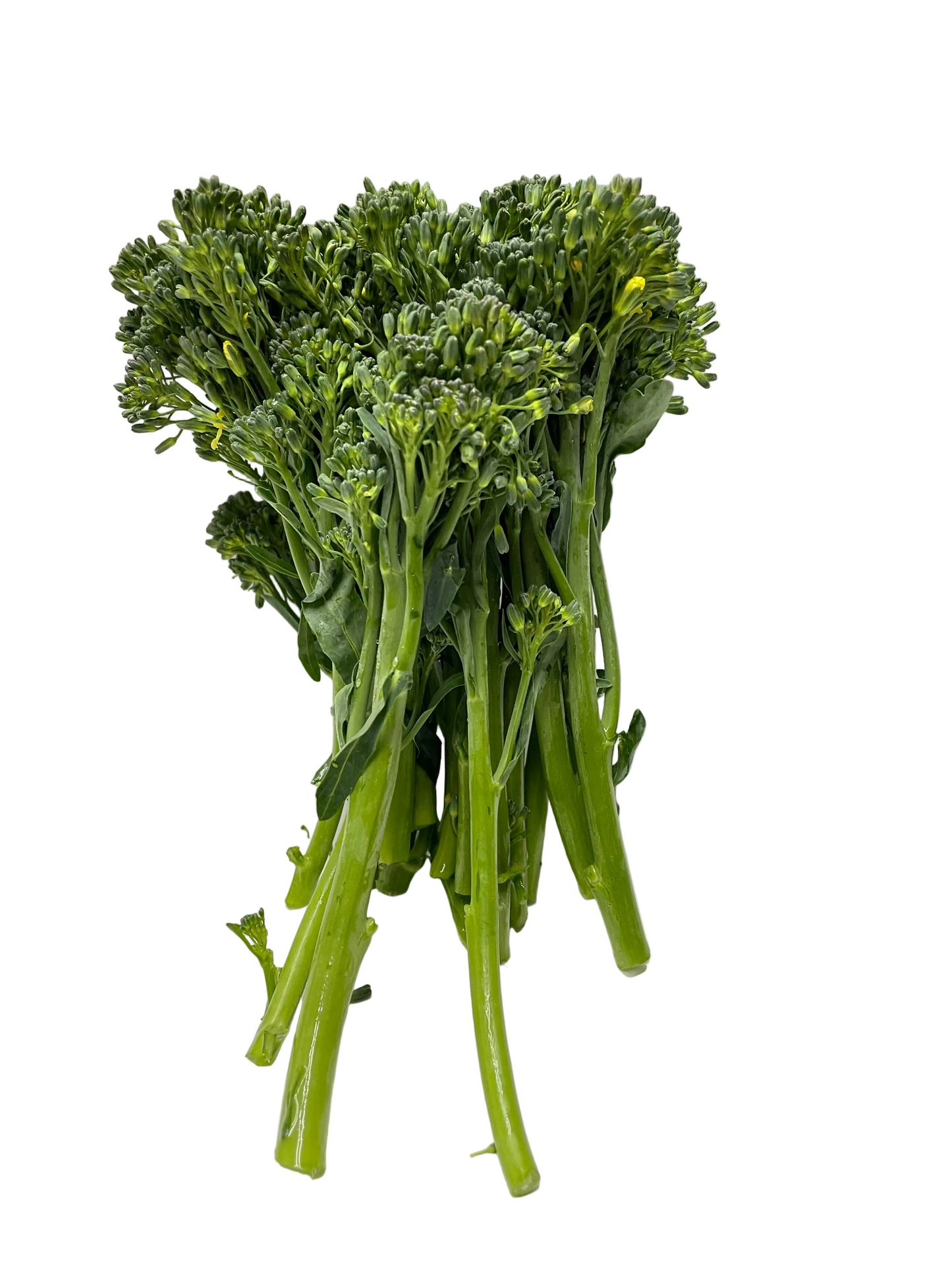 Broccolini
