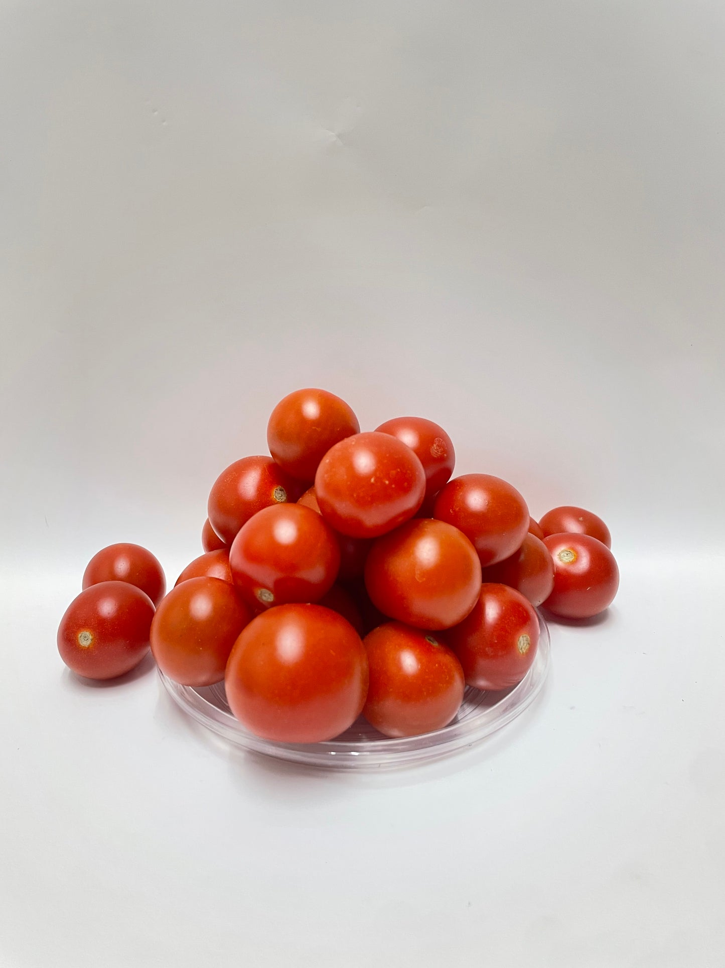 Cherry Tomatoes