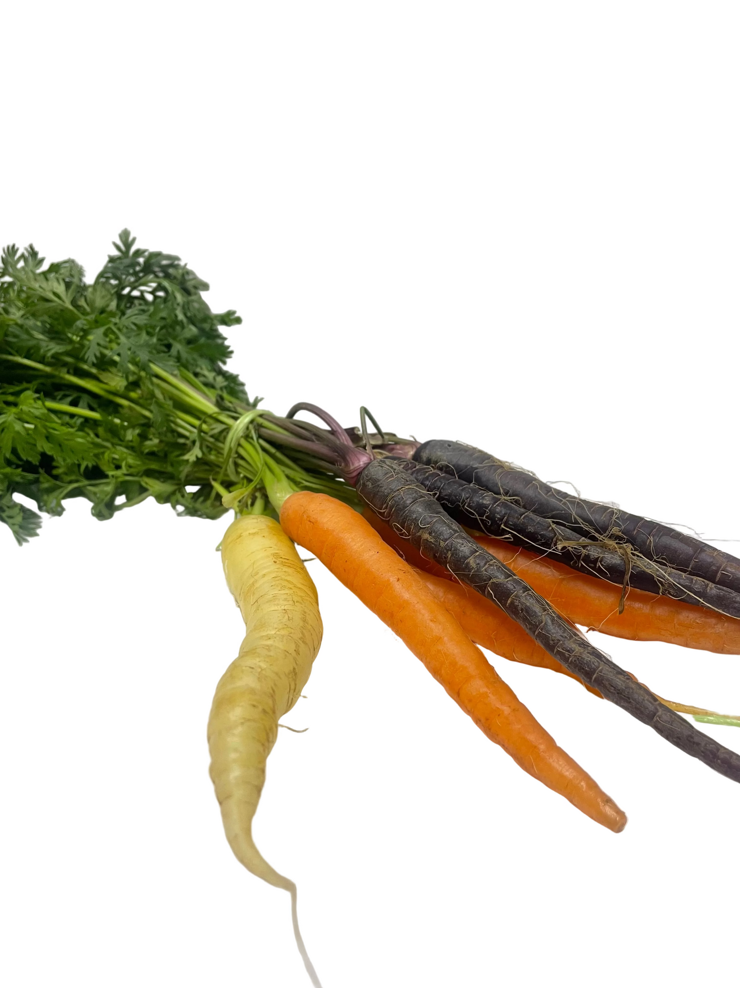 Rainbow Carrot Bunch