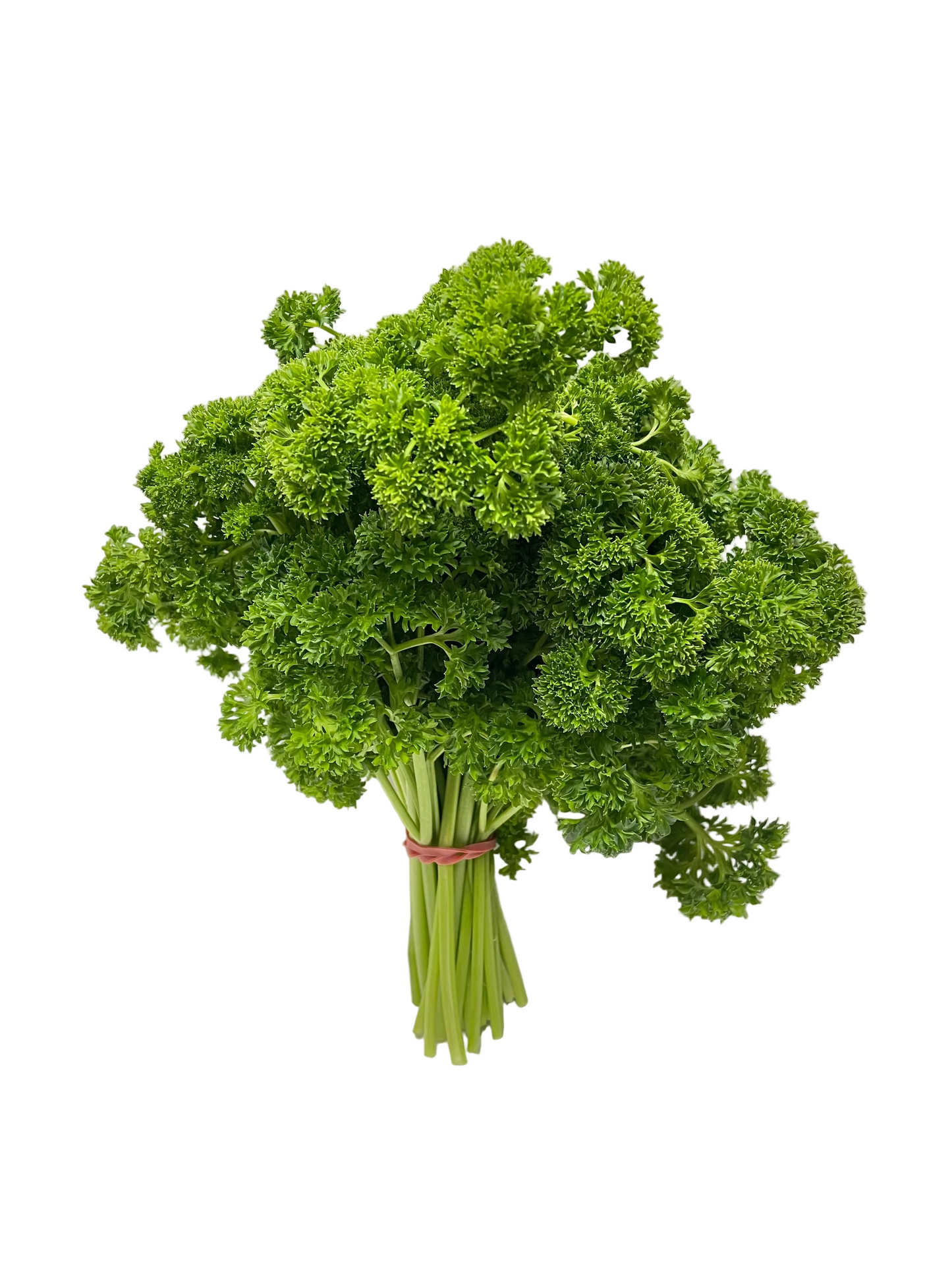 Curly Parsley