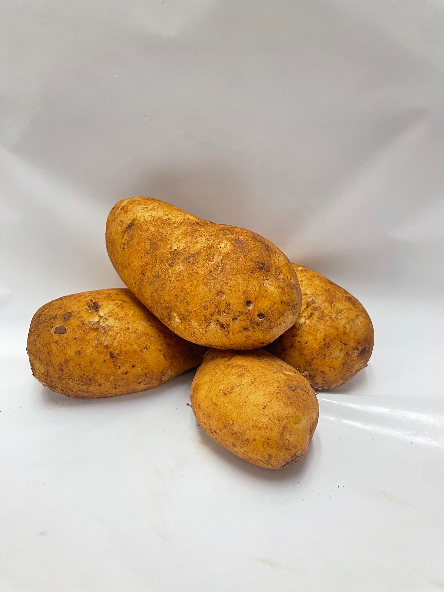 Dutch Cream Potato