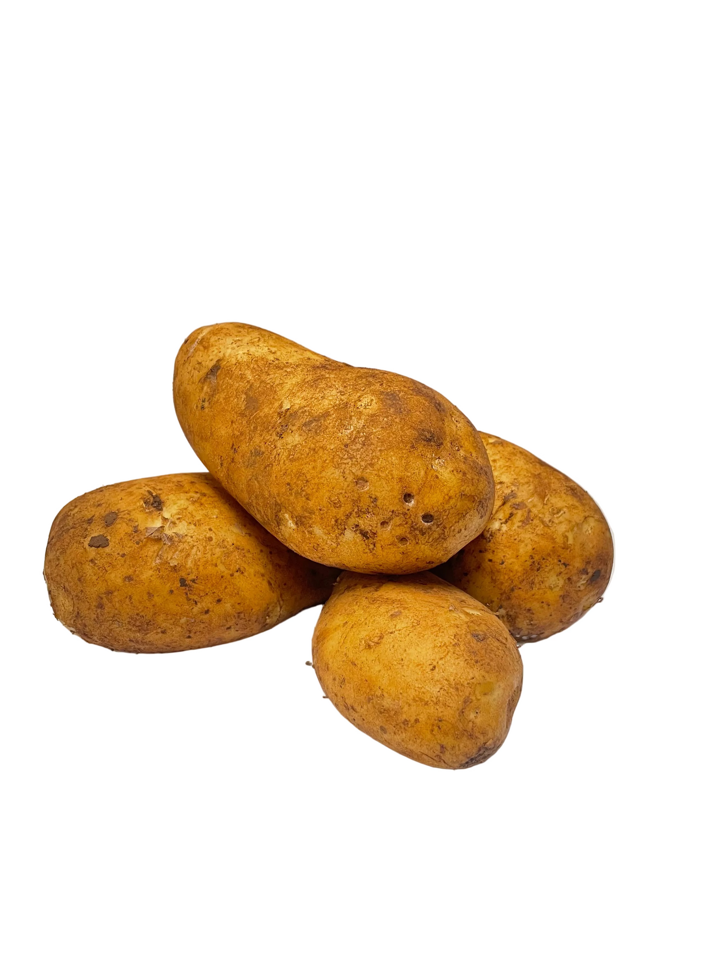 Dutch Cream Potato