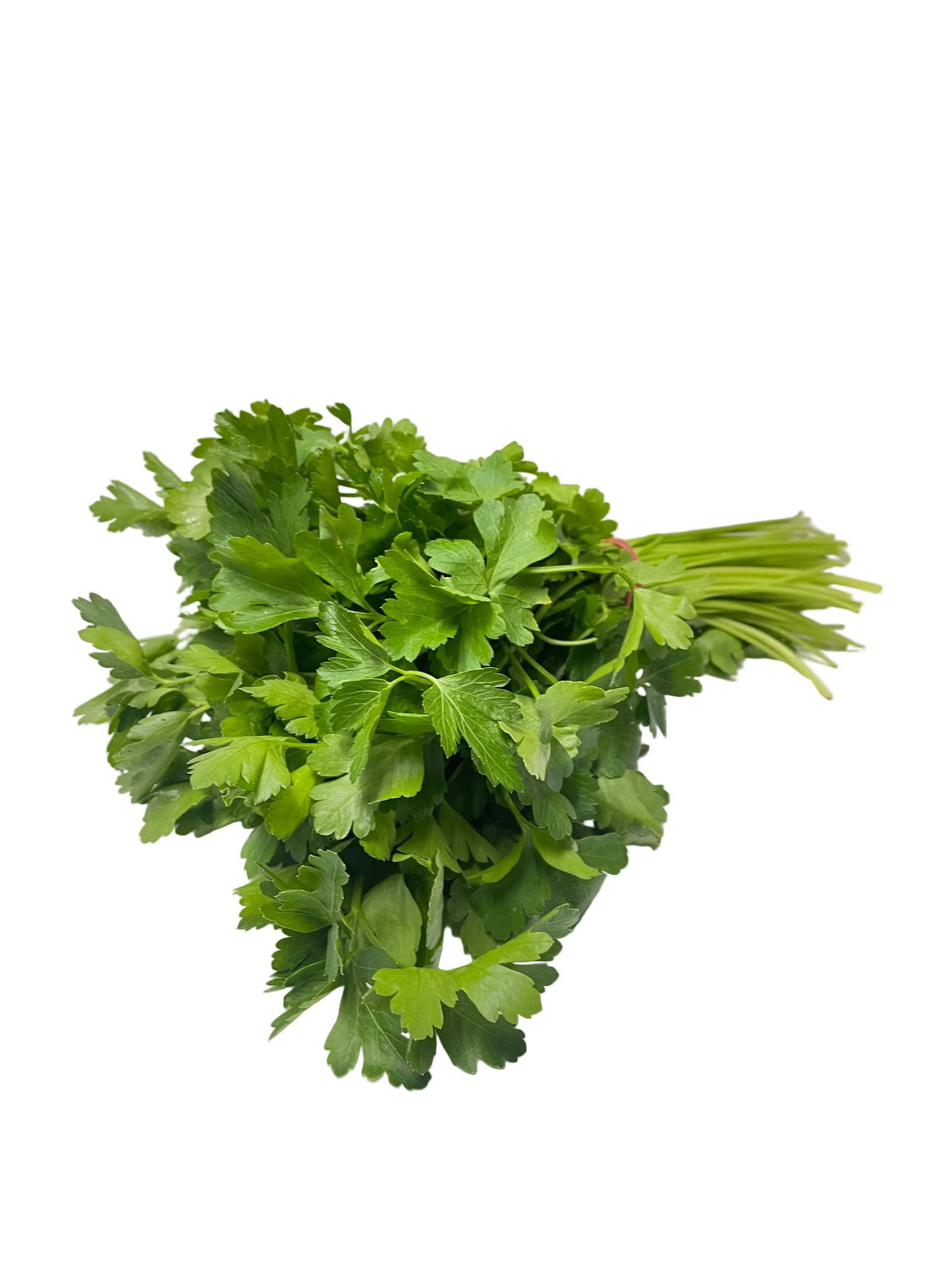 Flat Leaf Parsley