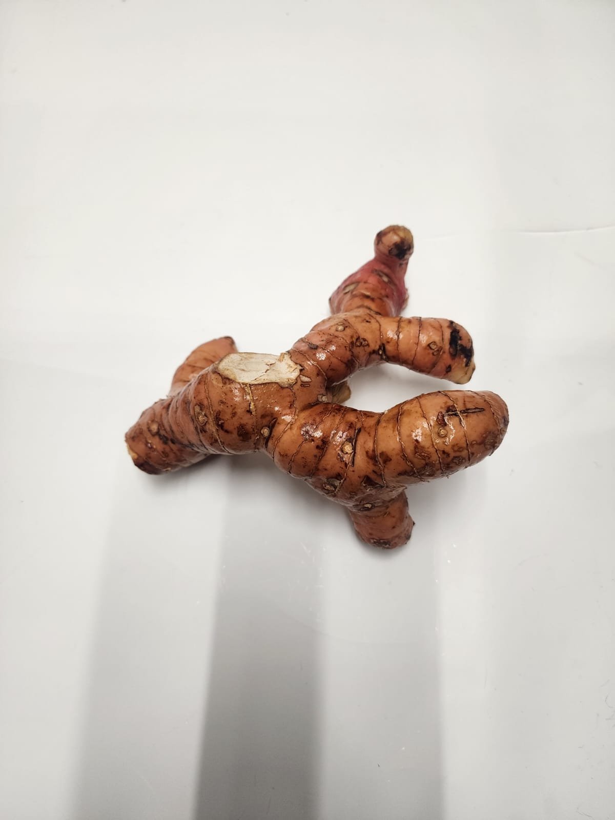 Galangal