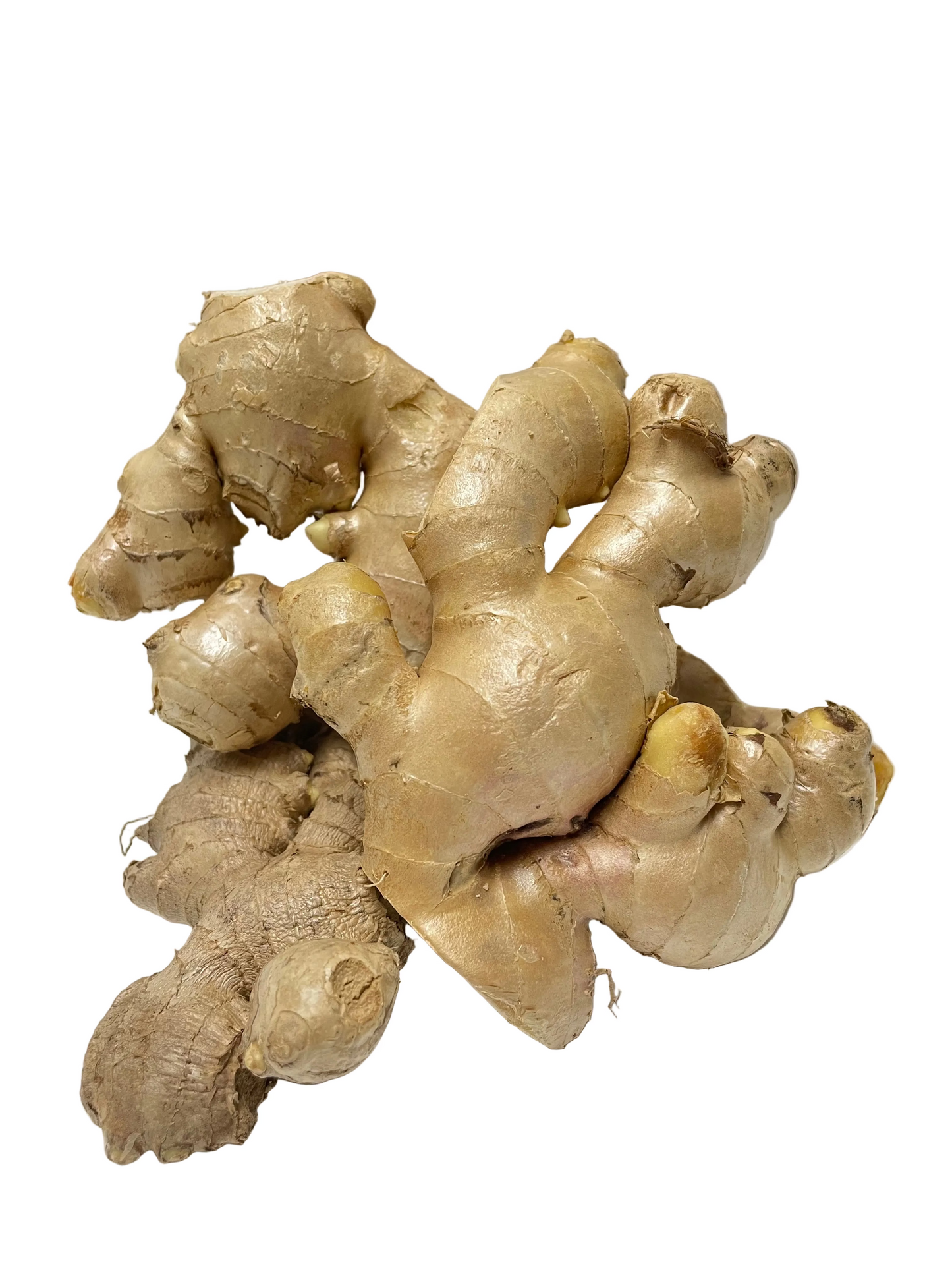 Ginger