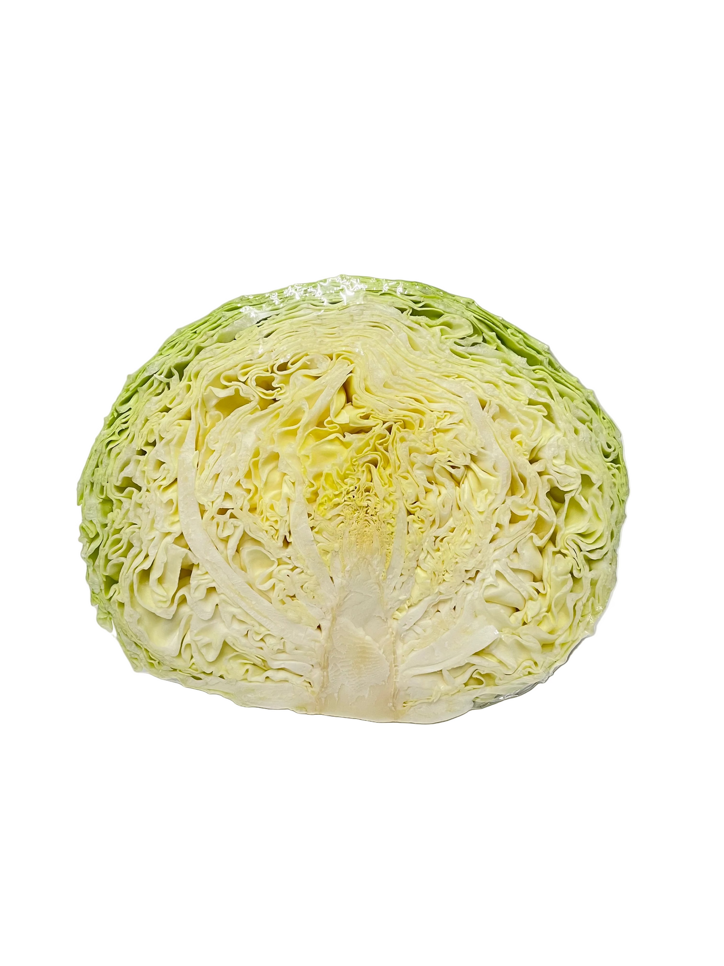 Green Cabbage