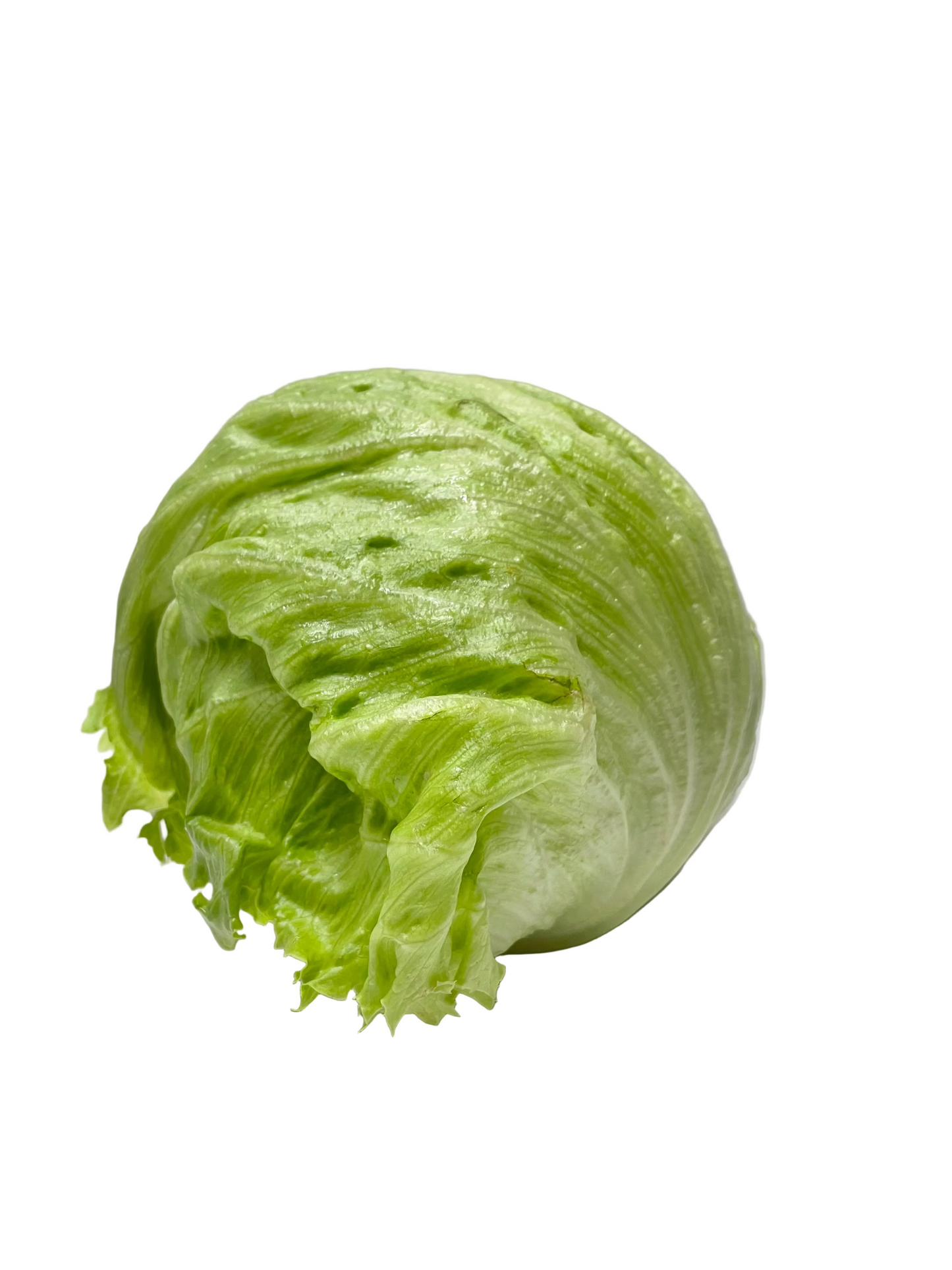 Iceberg Lettuce