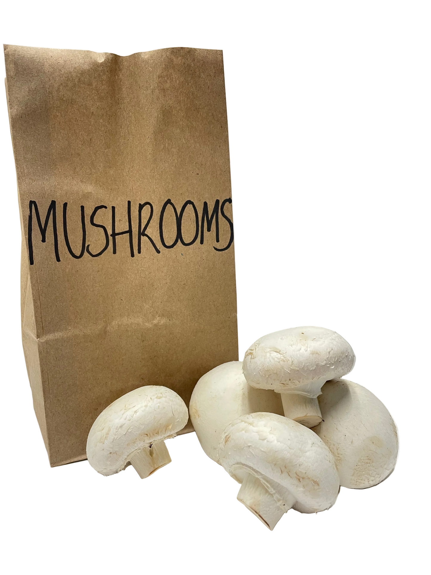 Mushroom Bag