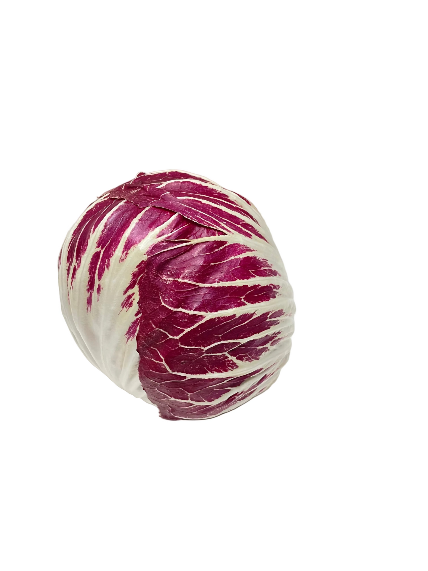 Radicchio