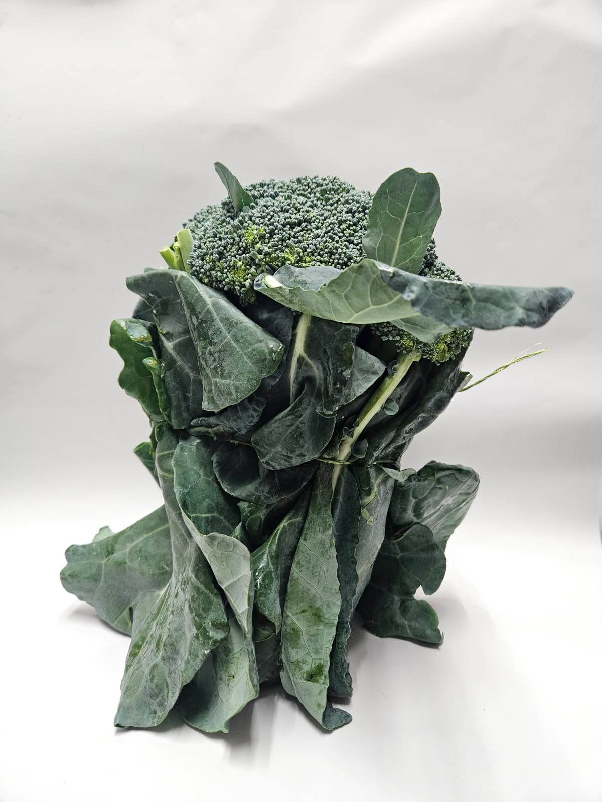 Local Bunch Broccoli