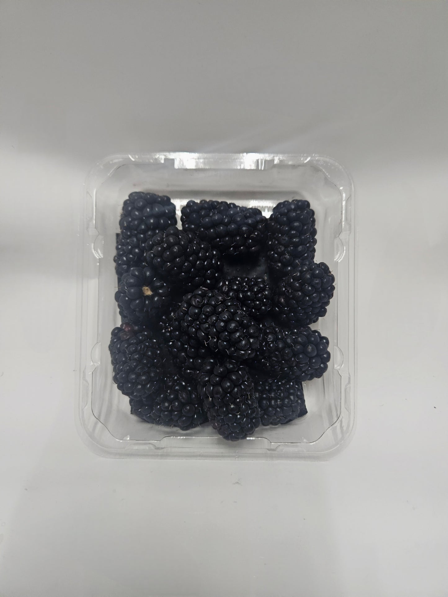 Blackberries