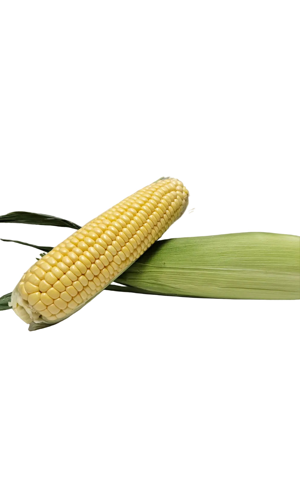 Sweet corn twin pack