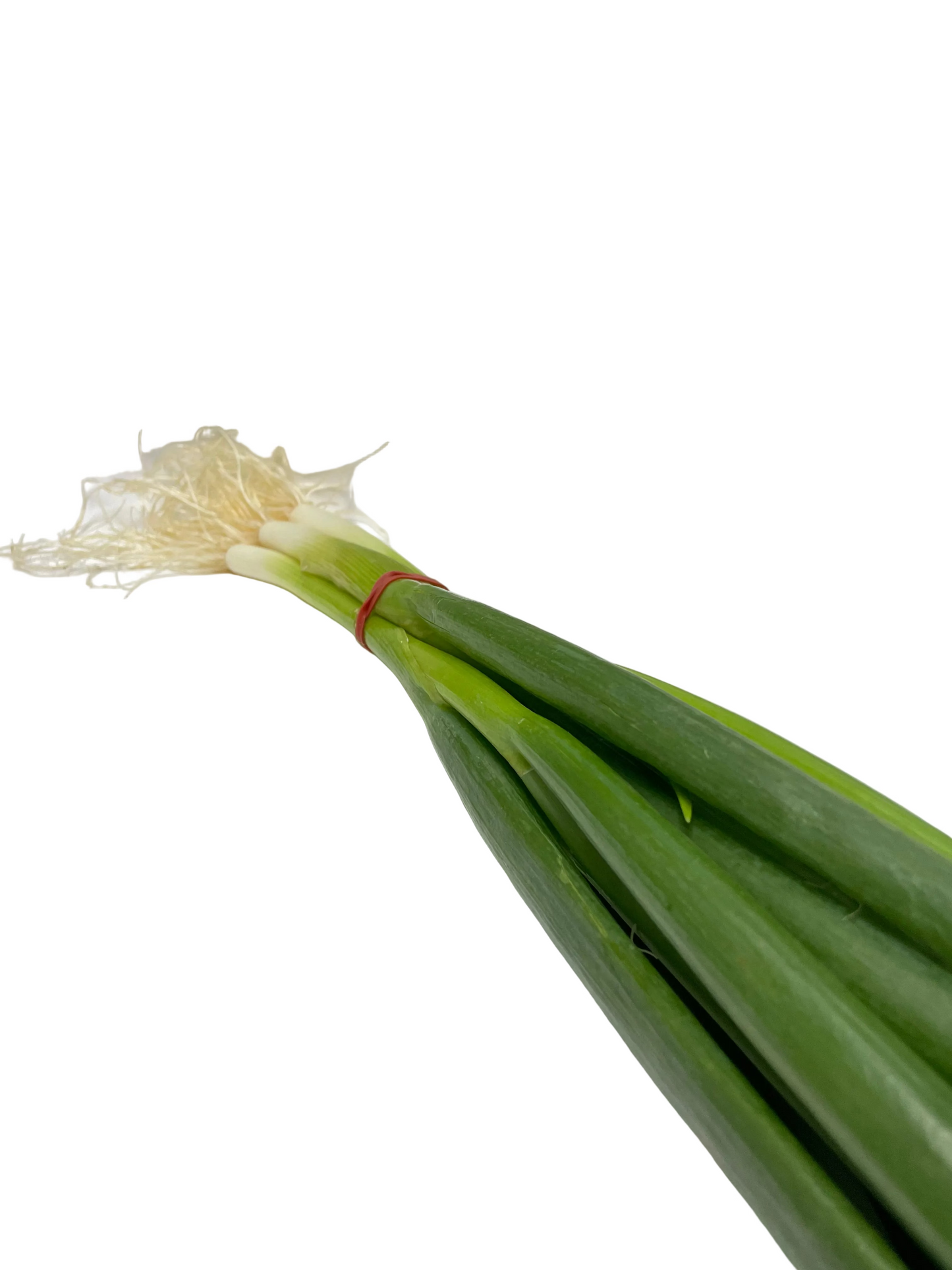 Spring Onions