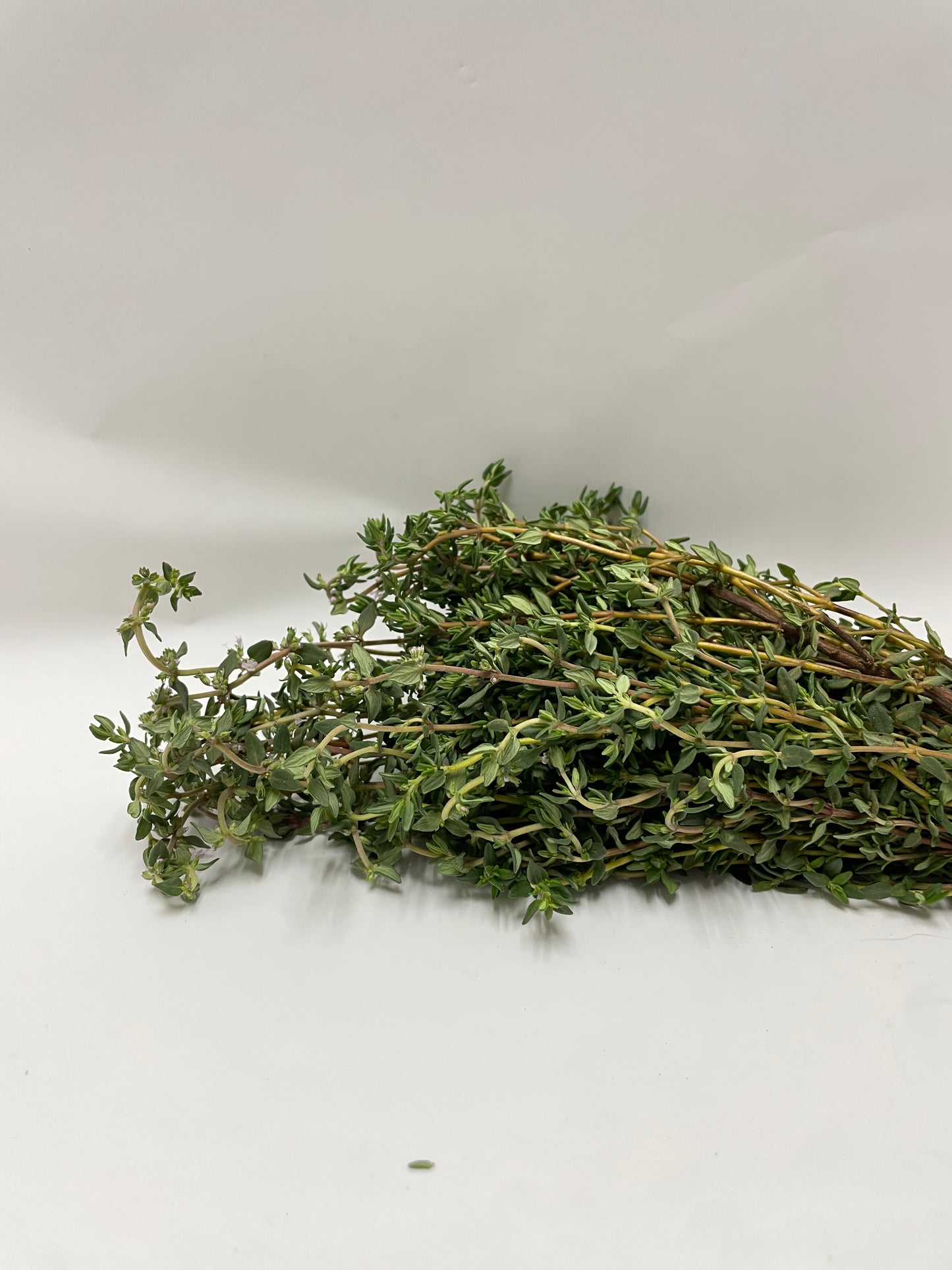 Thyme