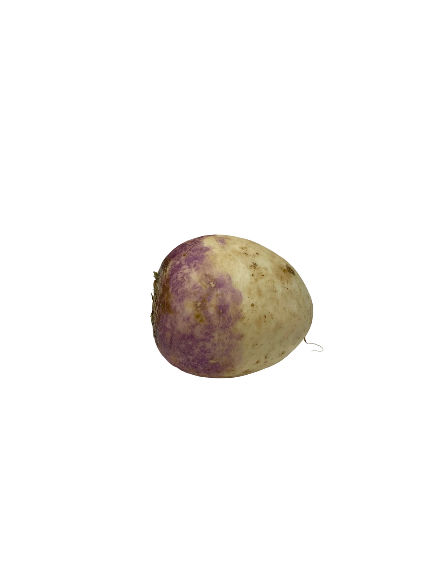 Turnip