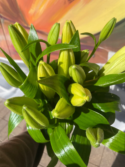 Tiger Lilly Bunch