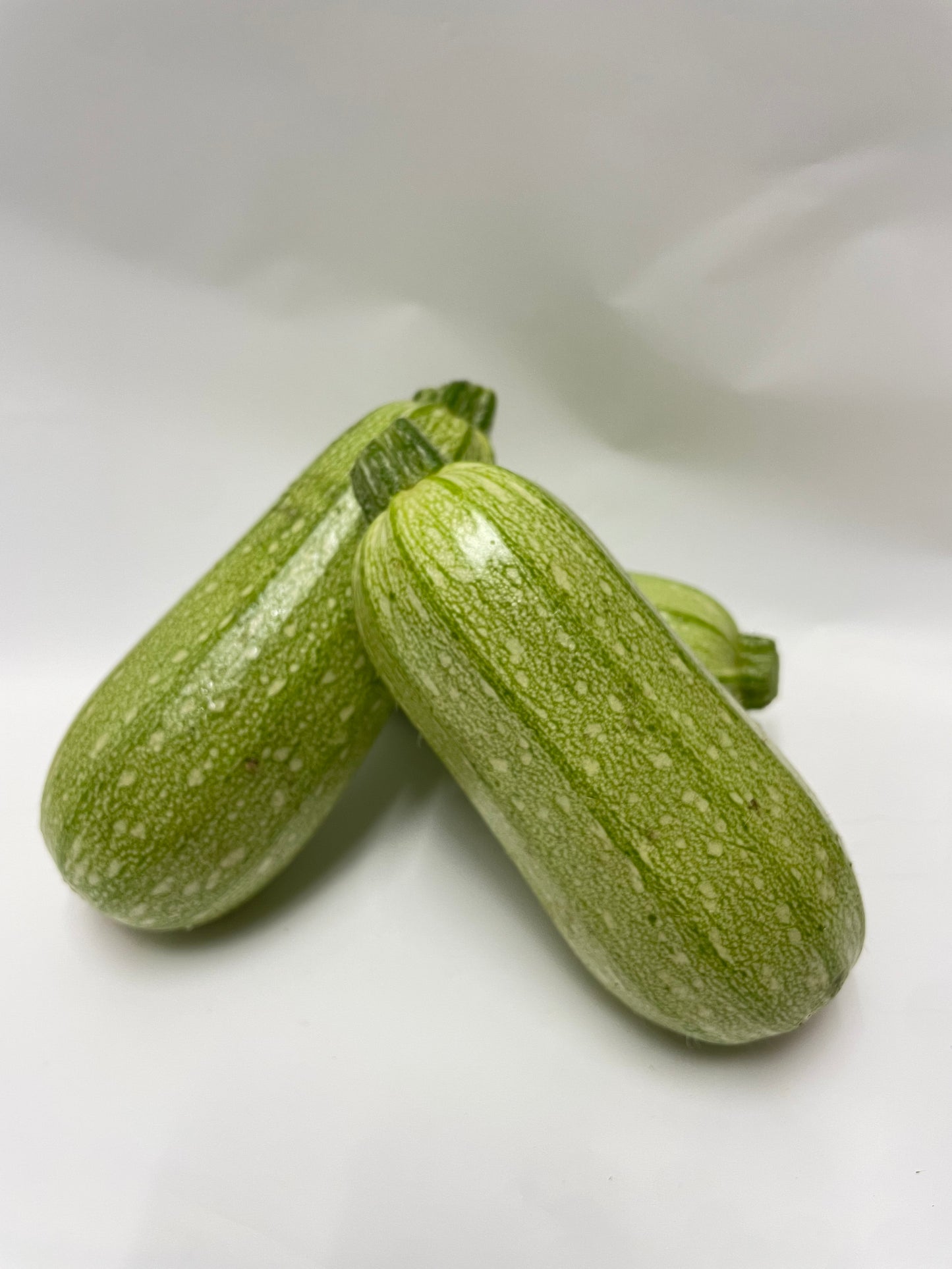 White Zucchini