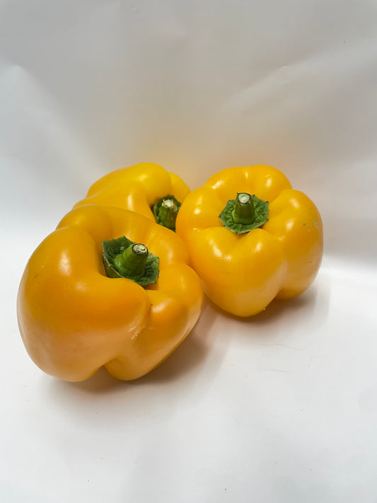 Yellow Capsicum