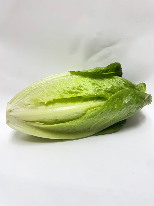 Cos Lettuce