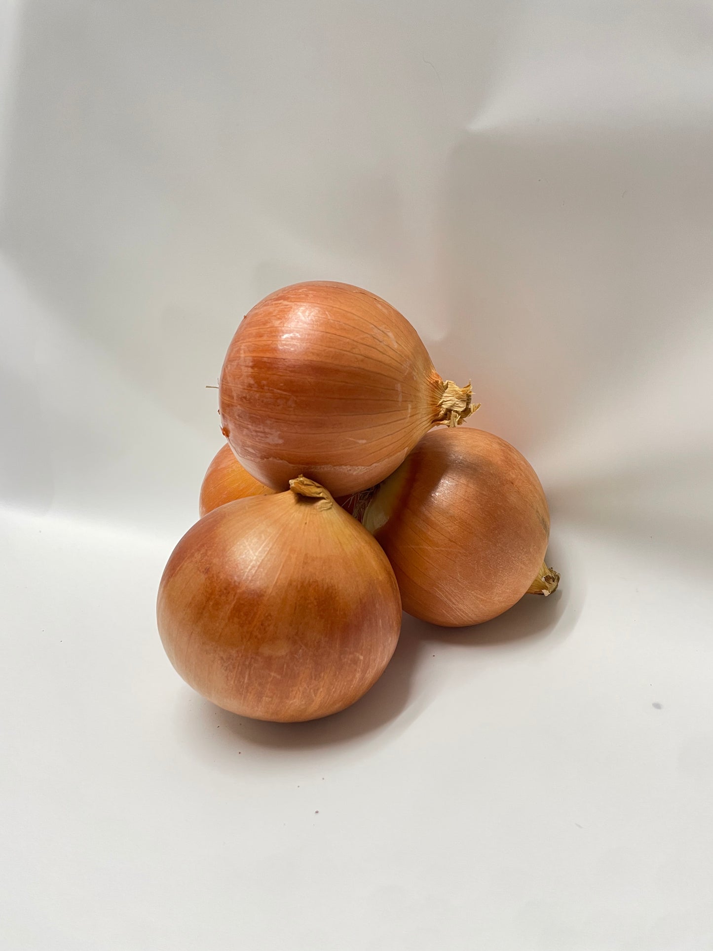 Brown Onion