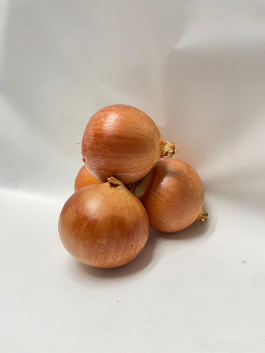 Brown Onion