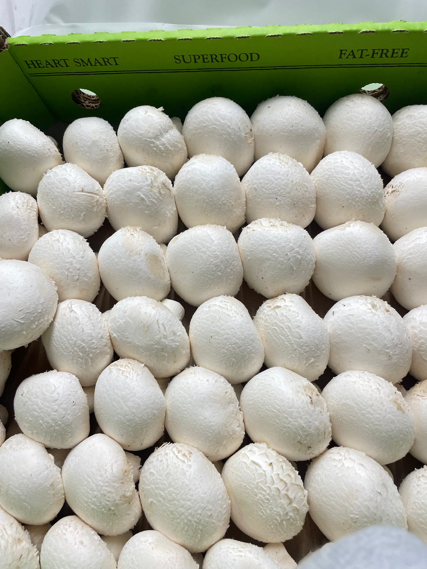 Button Mushrooms