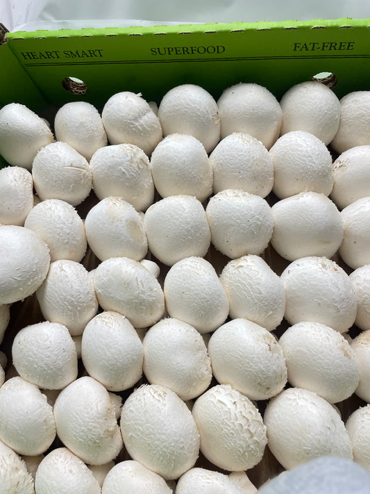 Button Mushrooms