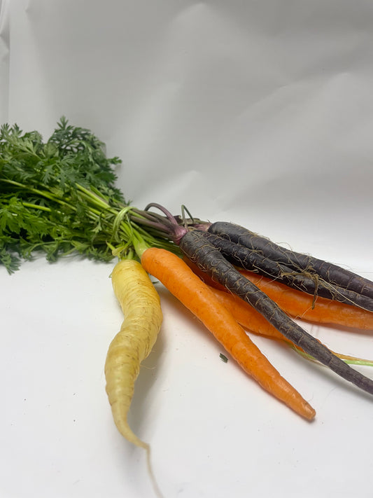 Rainbow Carrot Bunch