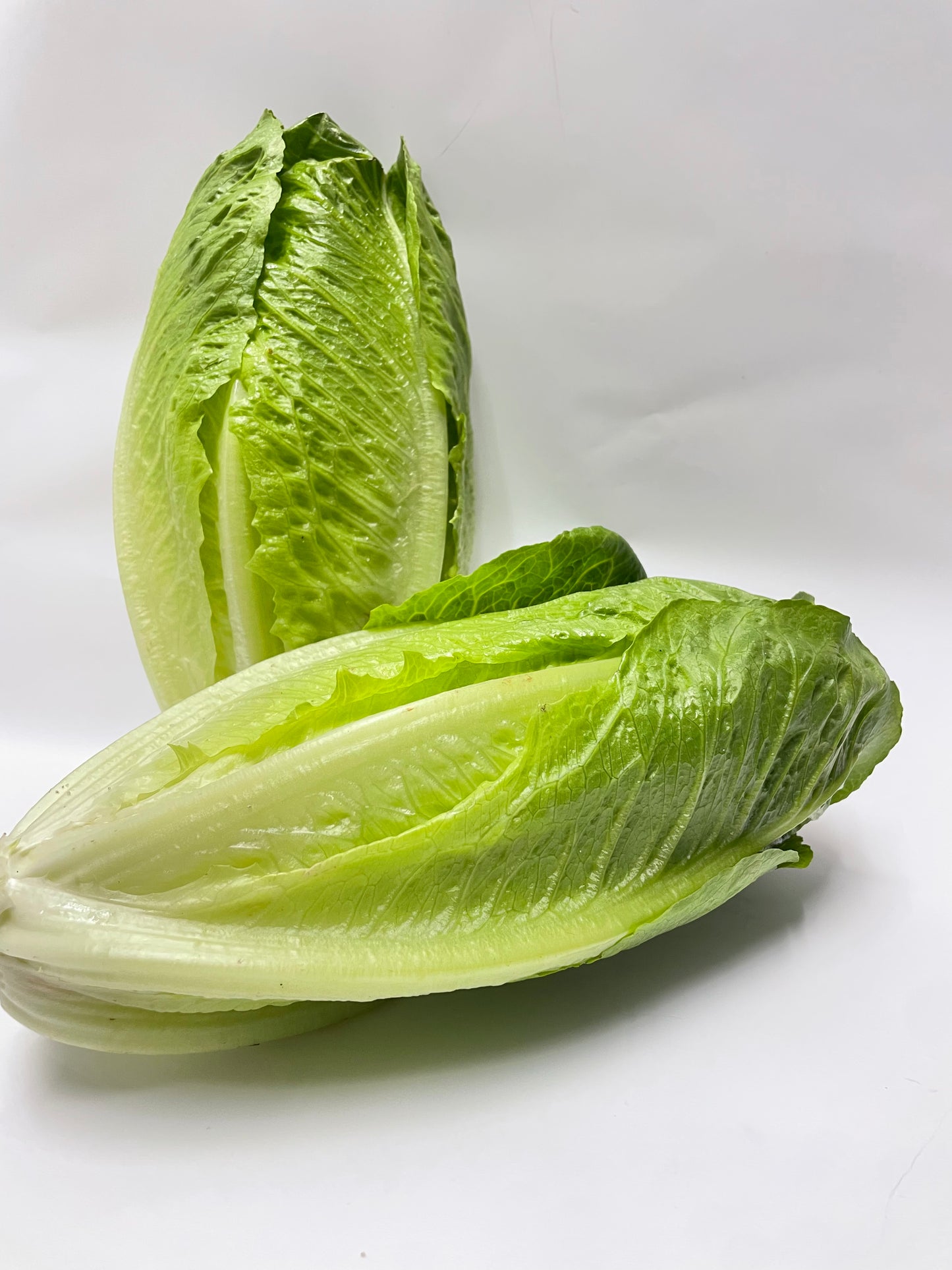 Cos Lettuce