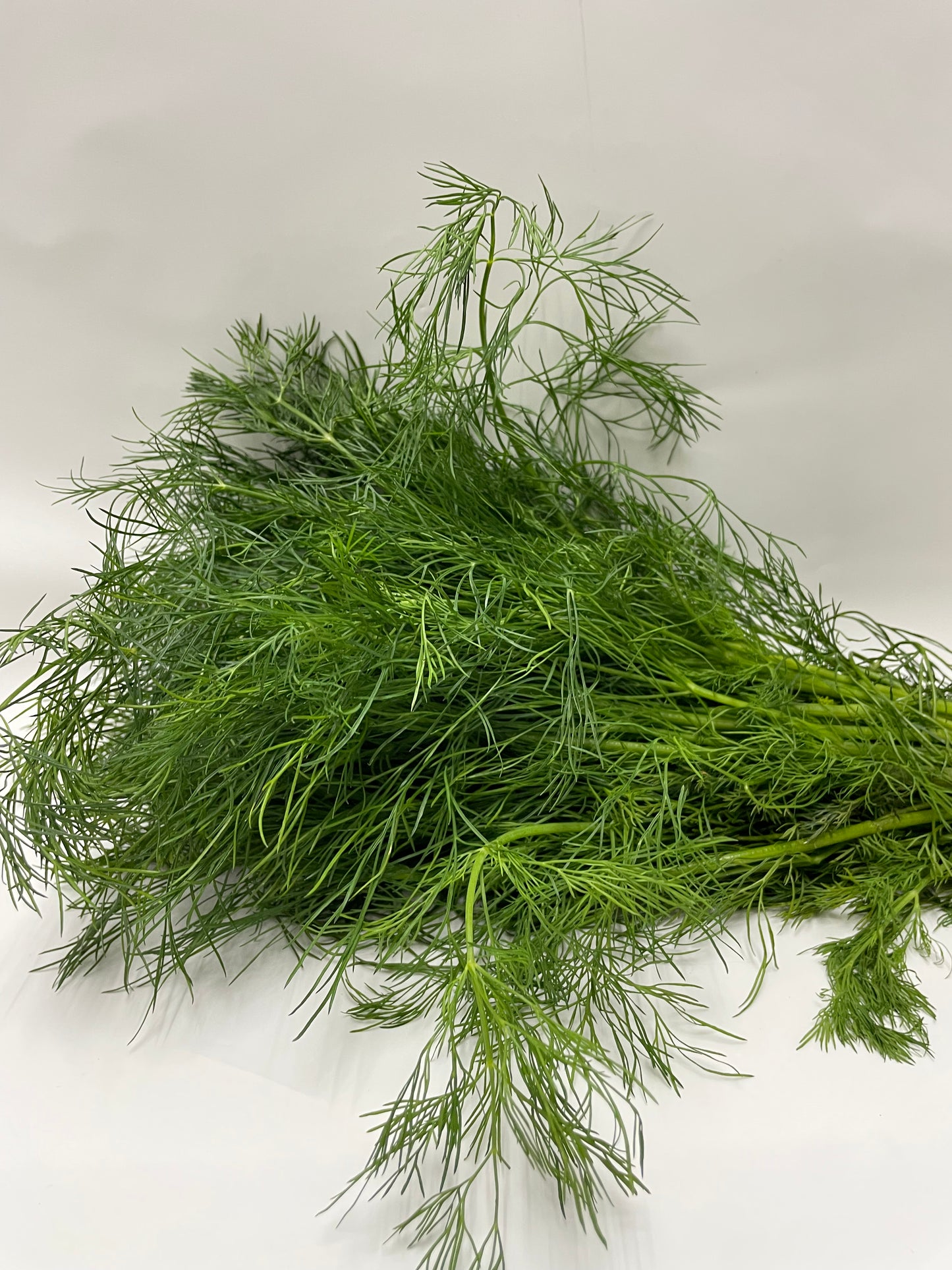 Dill