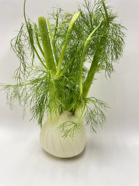 Fennel