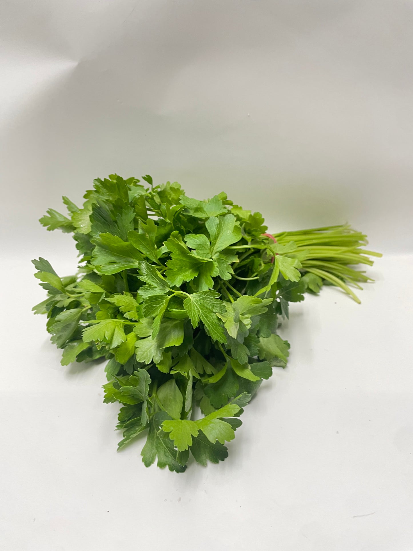 Flat Leaf Parsley