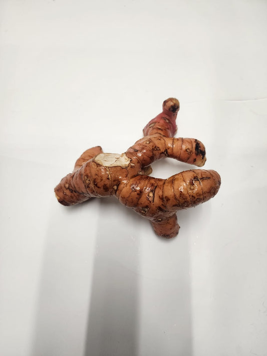 Galangal