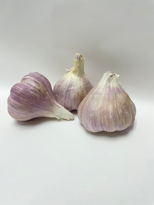 Garlic