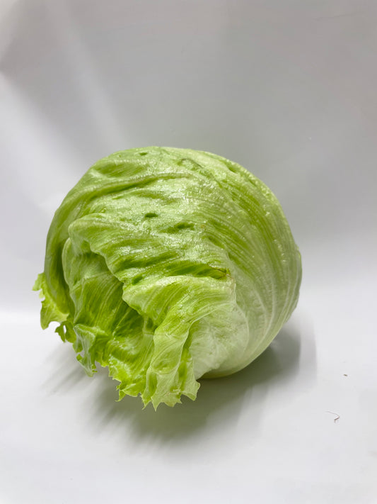 Iceberg Lettuce