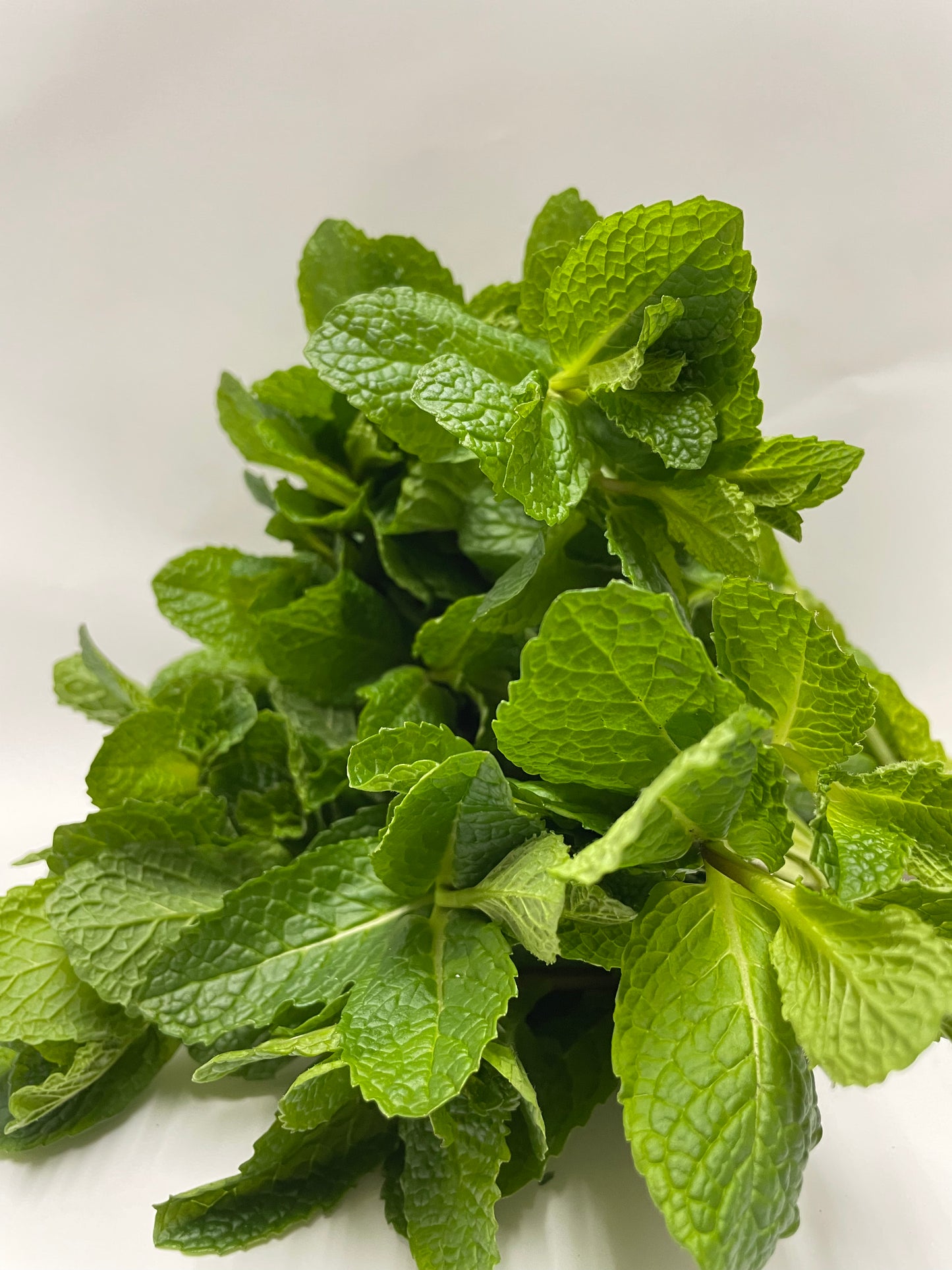Mint
