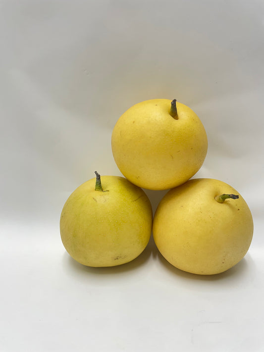 Nashi Pears