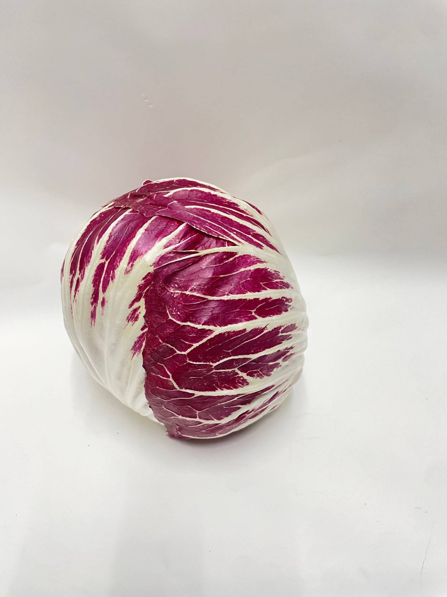 Radicchio