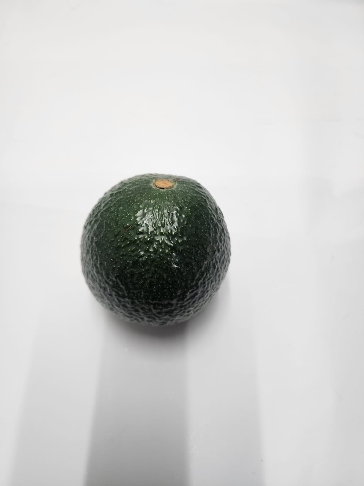 Reed Avocado