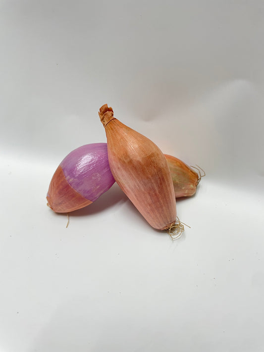 Shallot